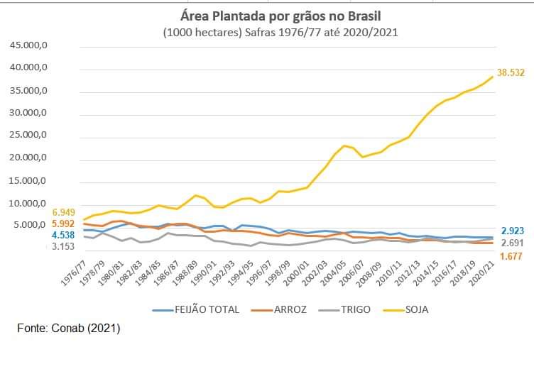 Grãos Plantados para exportação em detrimento da alimentação interna